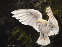 Ethereal Barn Owl